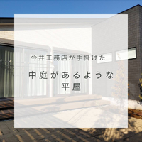 画像244