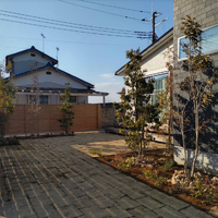 画像247